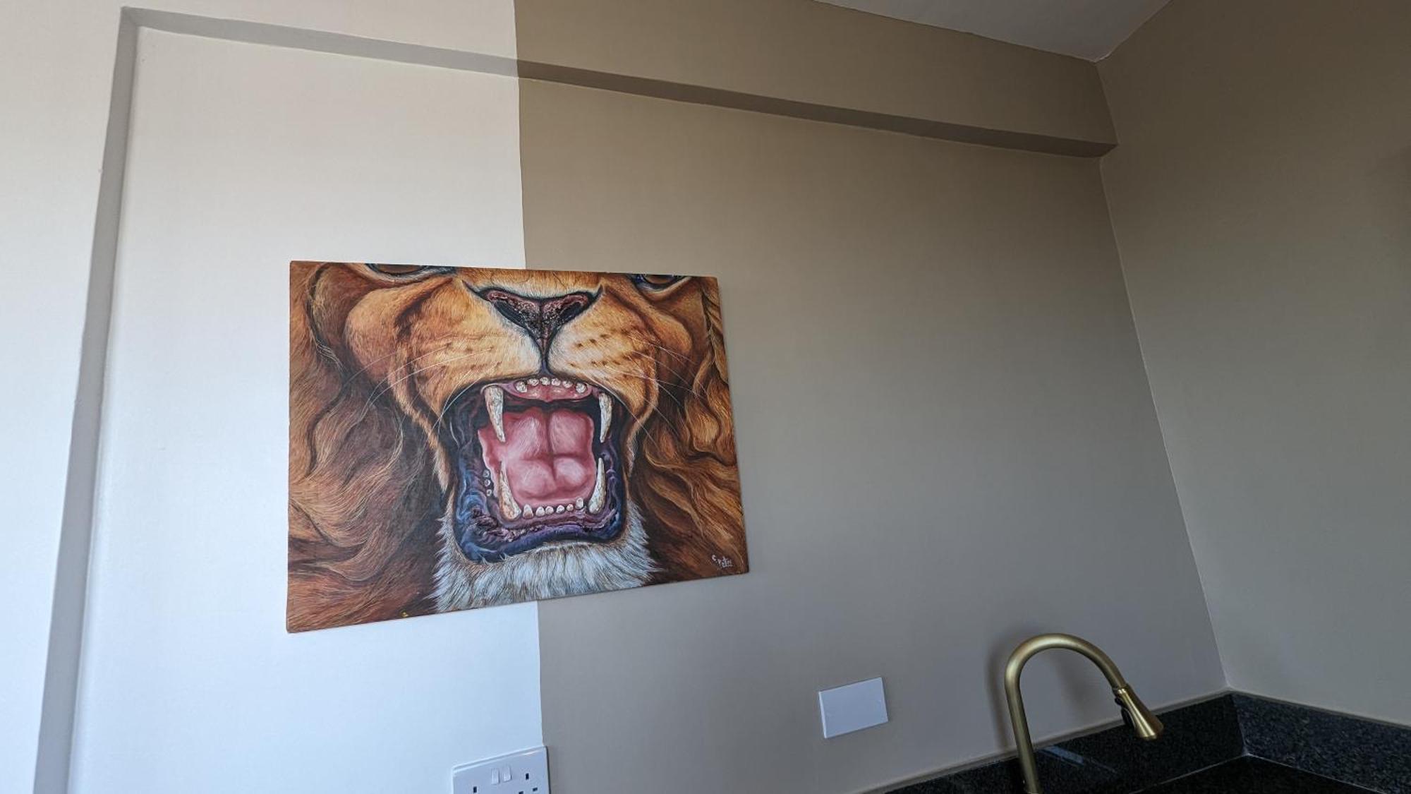 Mufasa City Hostel And Apartments Arusha Cameră foto